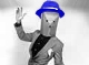 Avatar de Usuario